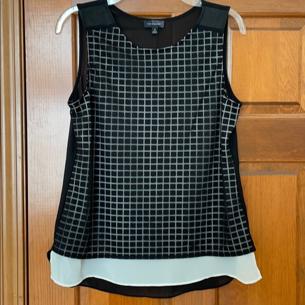 The Limited black and cream sheer top.